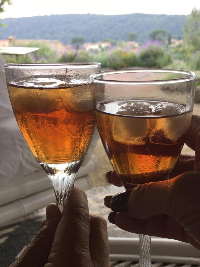 Chambre D'Hotes Casa Biba Vence Εξωτερικό φωτογραφία